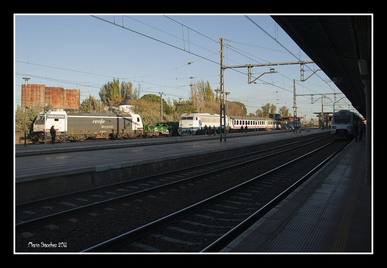 La 253-054, el Tren de las Gachas y el Alaris 490-207 estacionados (12-11-2011).jpg