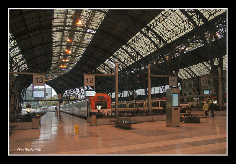 Estación de Francia. Andenes (04-11-2011).jpg