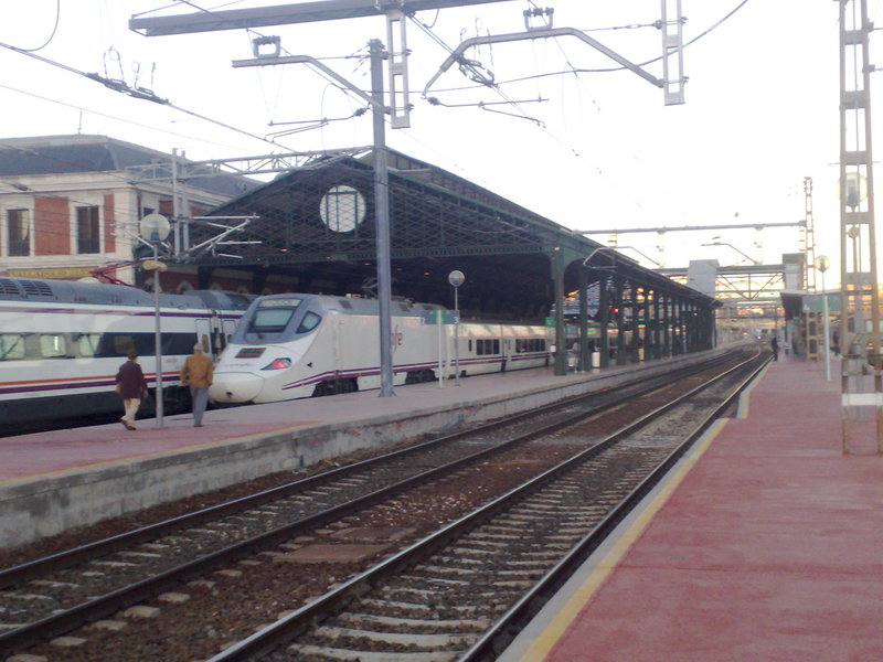 pato parado en la estacion.jpg