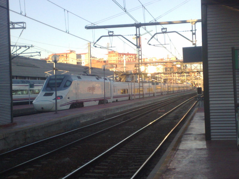 pato saliendo de la estacion de valladolid.jpg