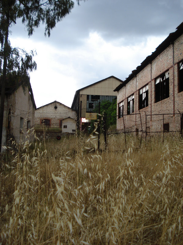 1-Talleres de Calatrava desde la entrada lado este, P.Llano.jpg