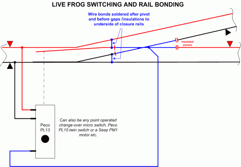 Live Frog switching.gif