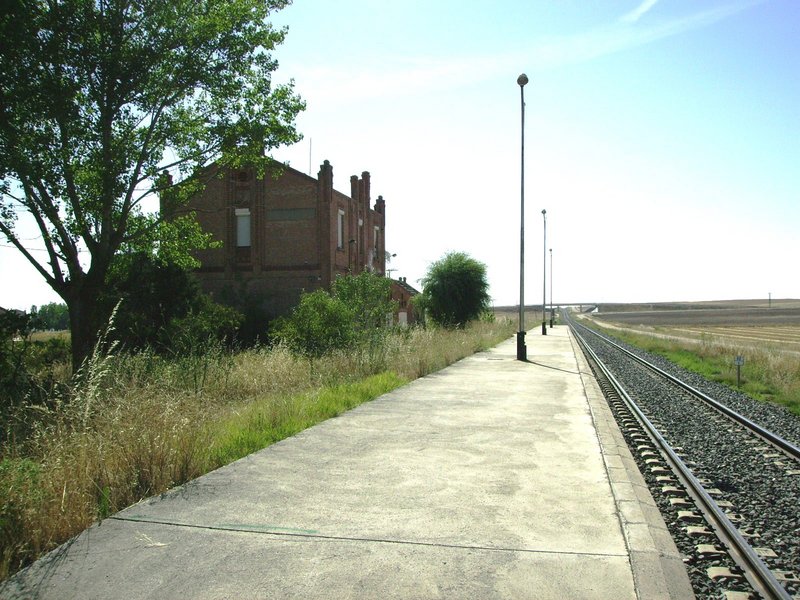 VILLAR DE GALLIMAZO LADO SALAMANCA.JPG