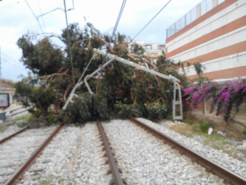 Calella. 16-11-13.jpg