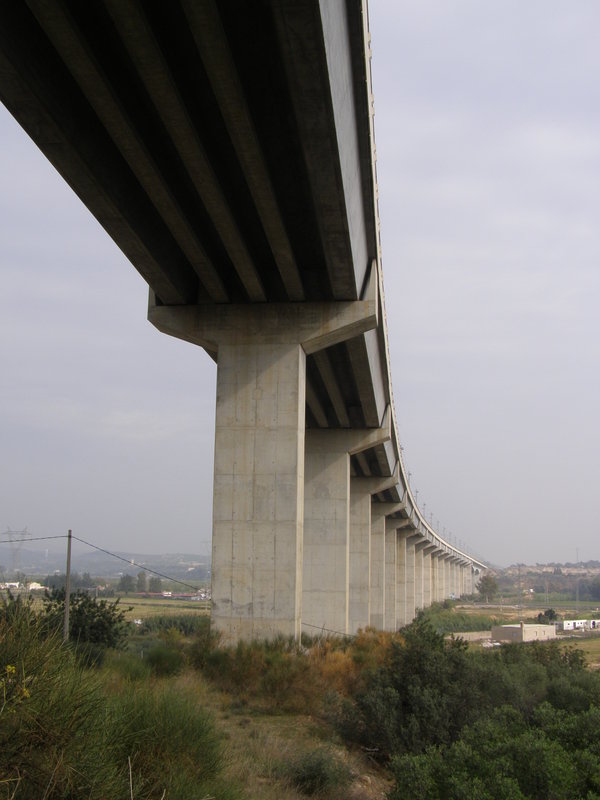 PA311010.JPG