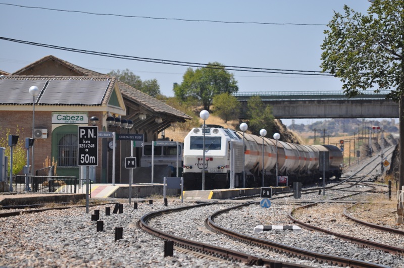 83379 Cabeza del Buey 20-08-2014_2.JPG