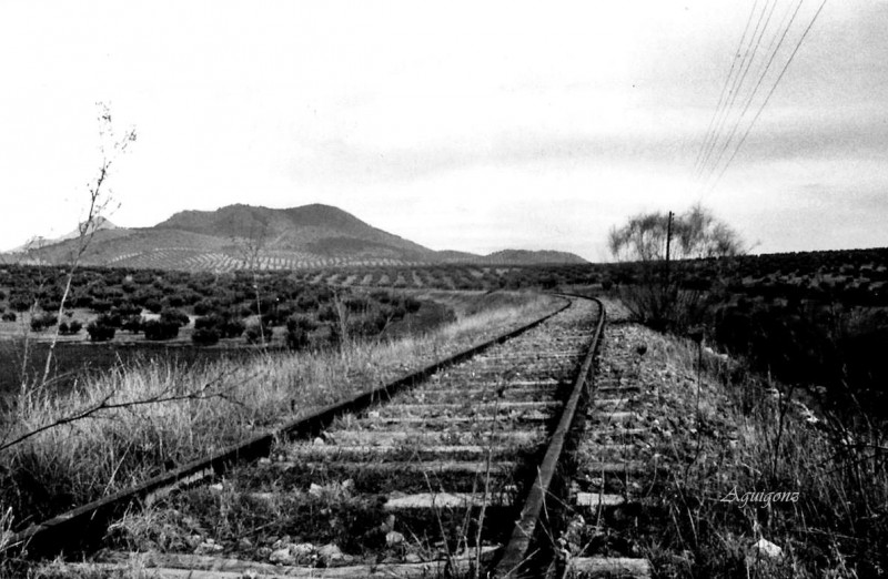 Frente a la laguna Honda.jpg