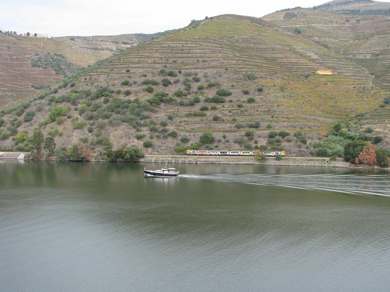 camello_douro.JPG