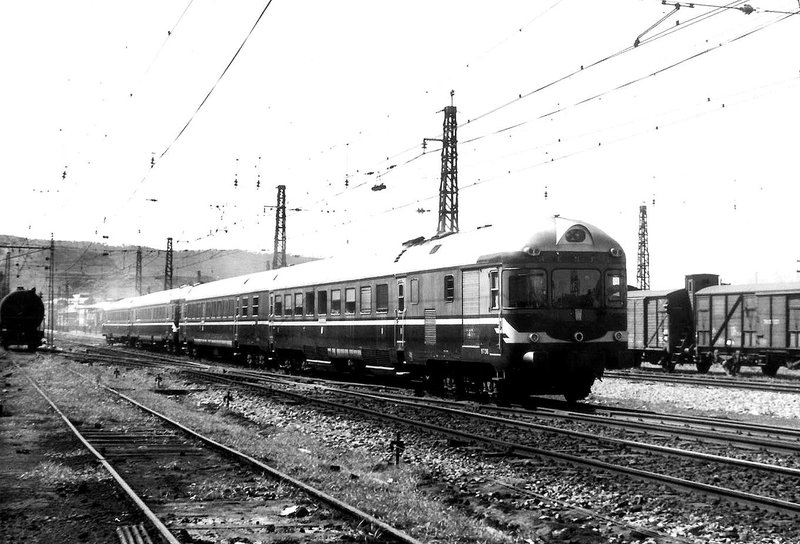 ter.1.jpg