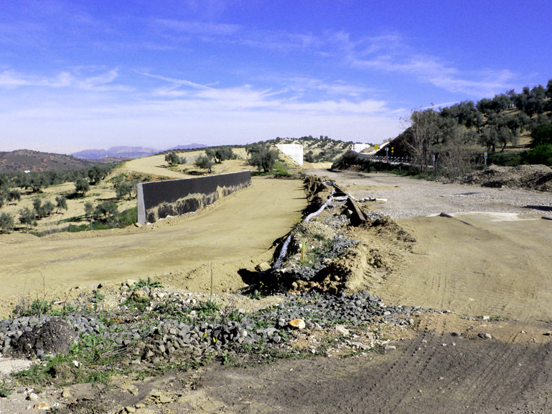 Nuevo camino cerca de Hotel Almazara.JPG