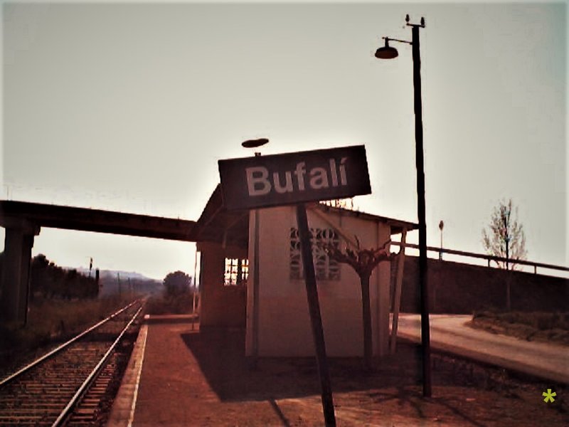Bufalí II.jpg