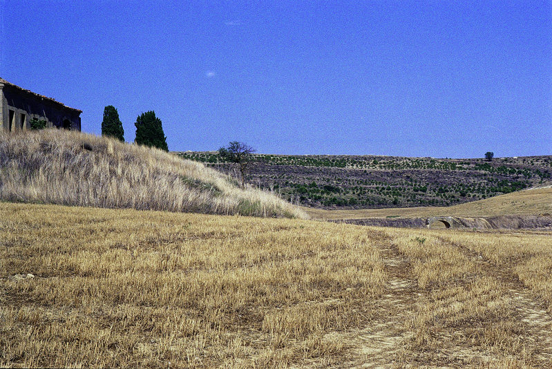 FSC - Valverde de Campos_04.jpg