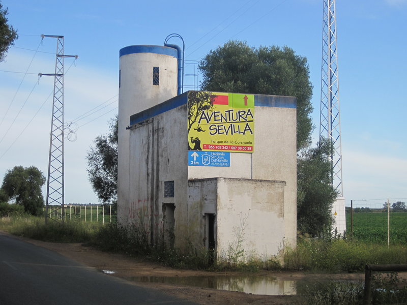 Camino Isla Mayor.JPG