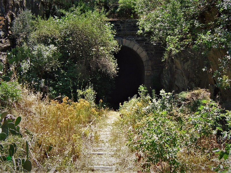 Boca Oeste tunel 20 Vega Terrón I.jpg