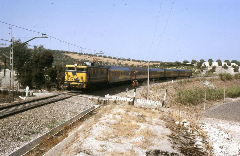 10 Ráp. Andalucia. Zona Montilla Autor PACO ZABALA.jpg