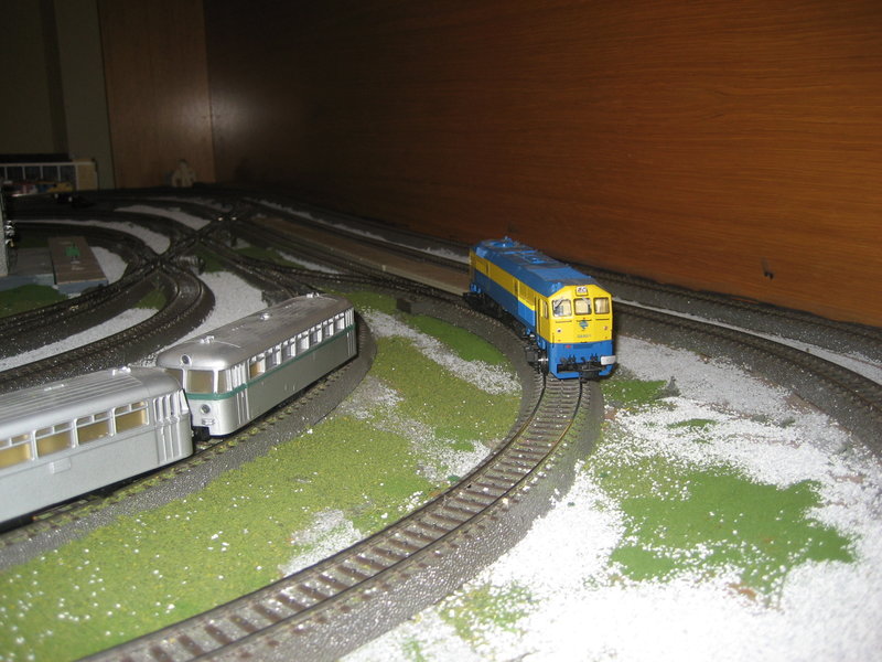 MAQUETA TRENES 2020 127.JPG