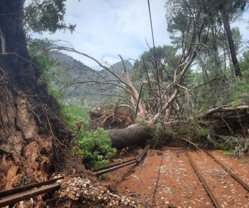 soller-arboles-caidos-tren.jpg