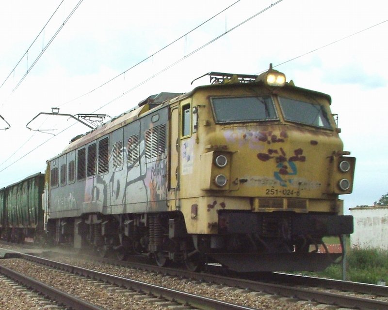 RENFE 251-030 GRULLEROS, LEON 01-06-2010.JPG