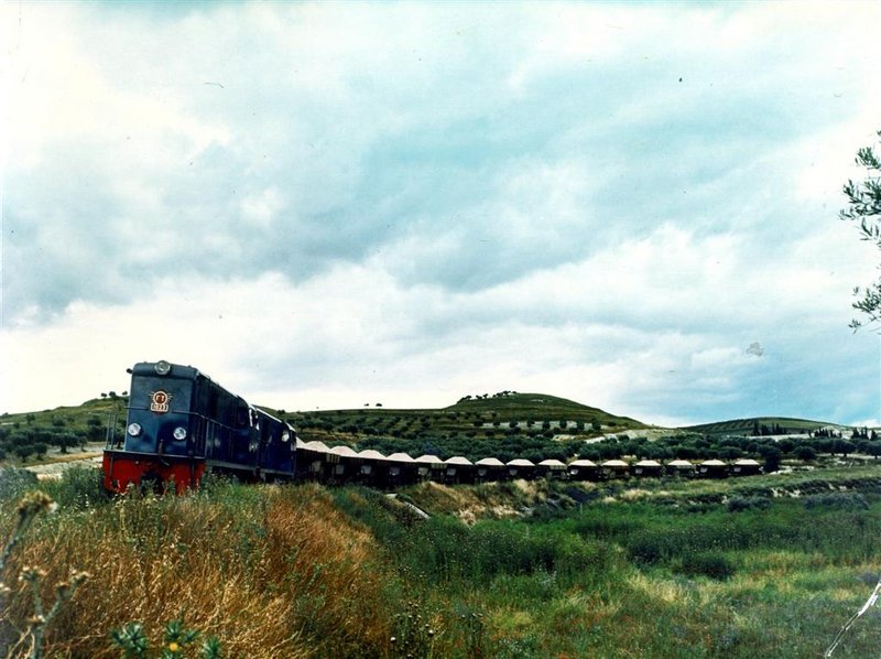 Locomotora Alsthom.jpg