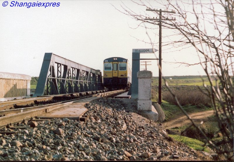 5 Camello sobre el Algodor.jpg