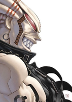Avatar de Usuario