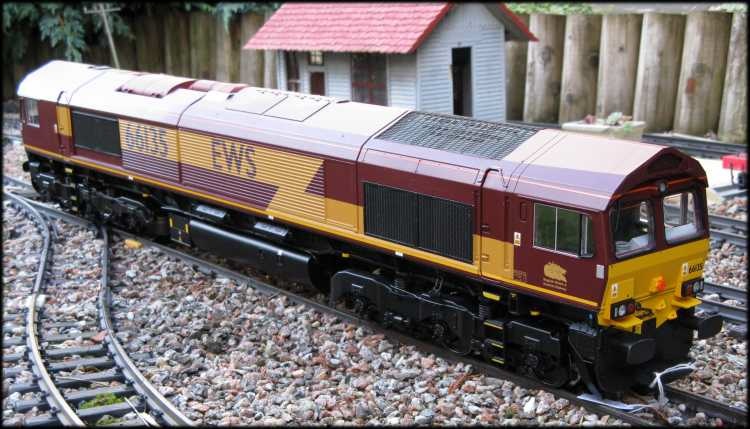 w66ews3q 1.jpg
