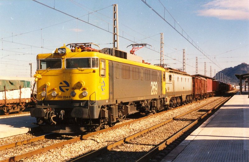 6594.jpg