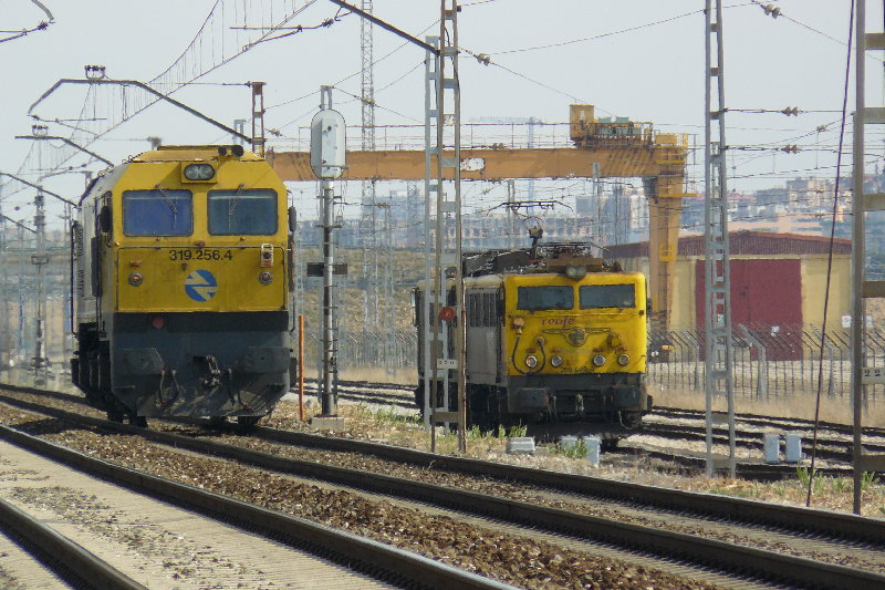 P1180184.JPG