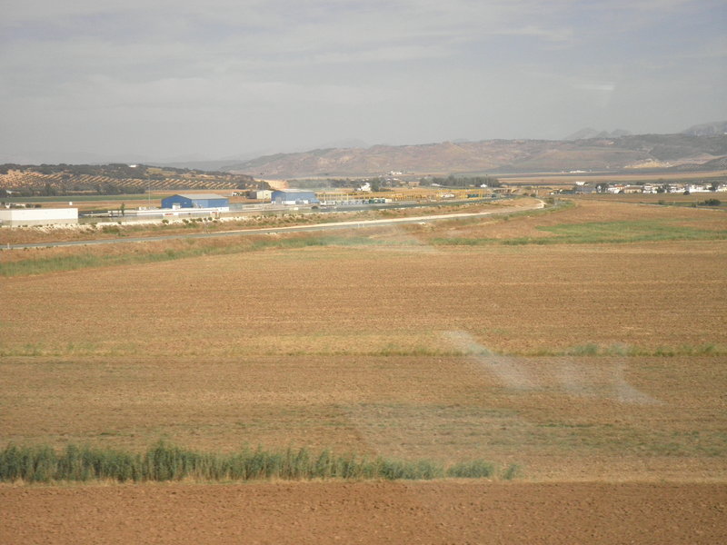P9101019.JPG