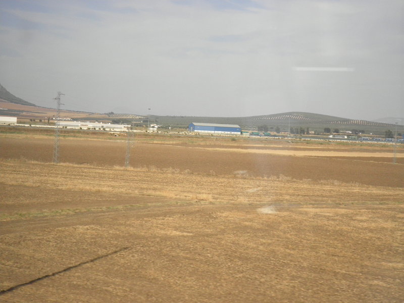 P9101020.JPG