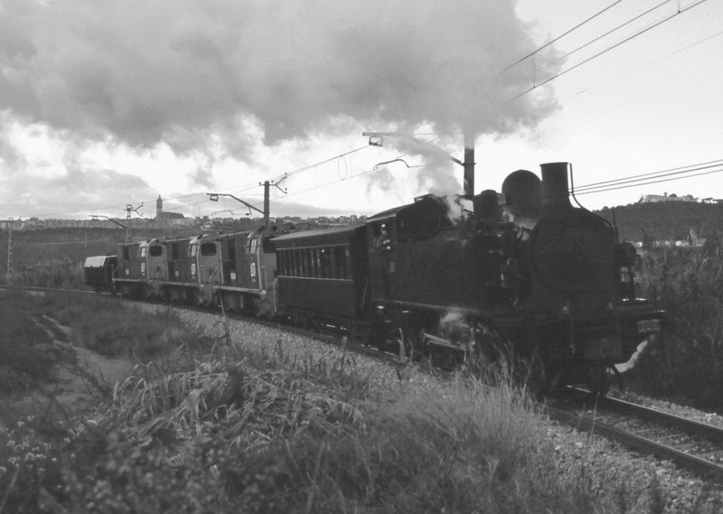200-Olesa.jpg