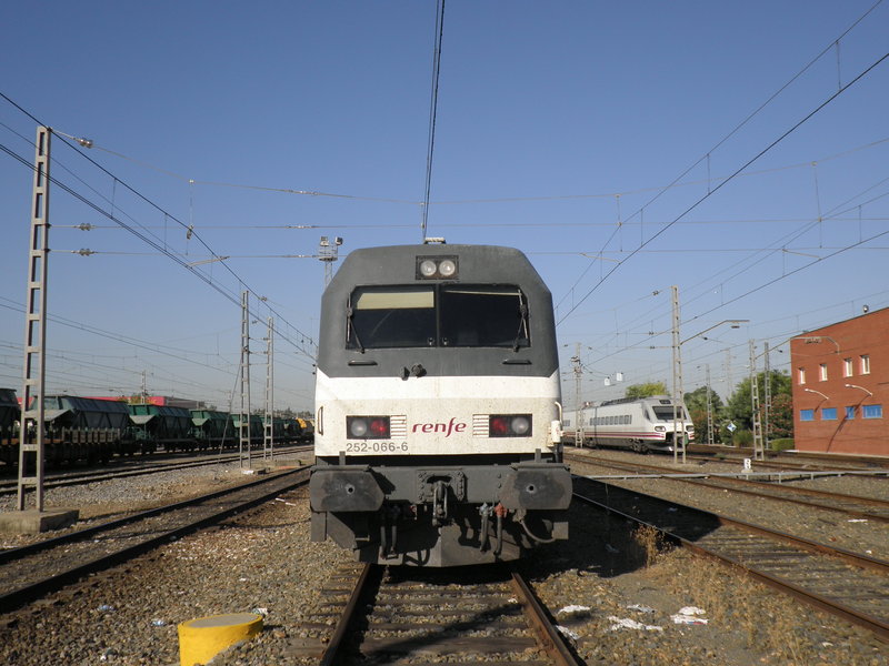 P9060942.JPG