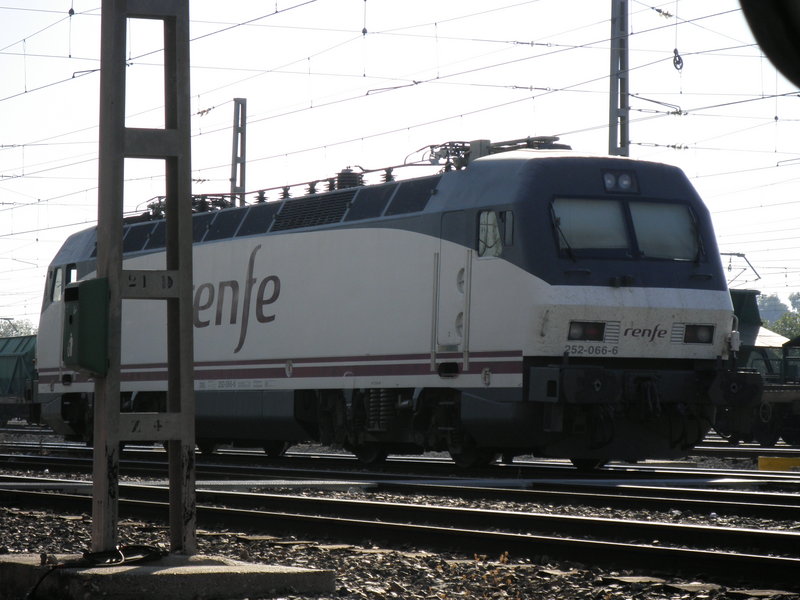 P9060944.JPG