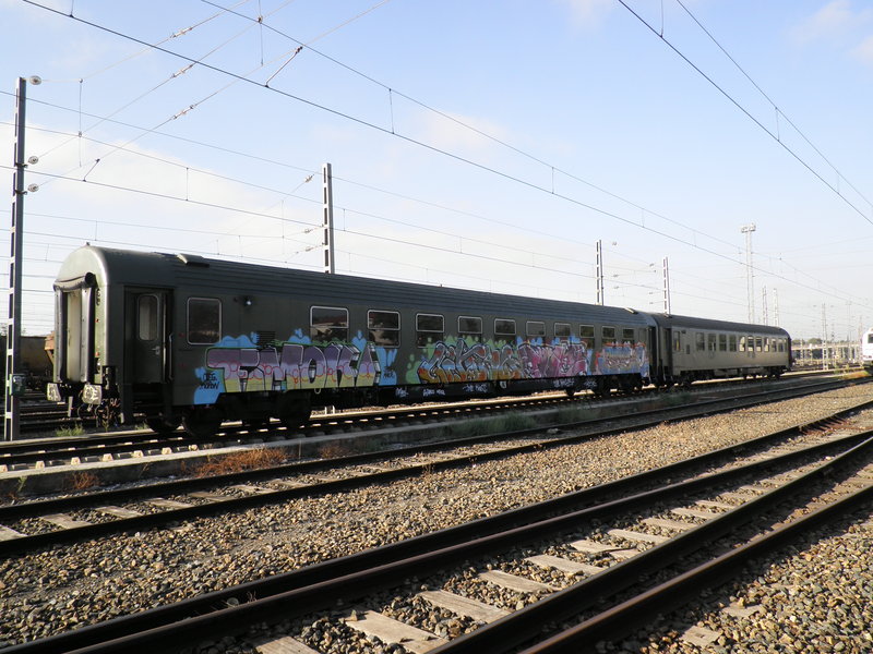 P9191117.JPG