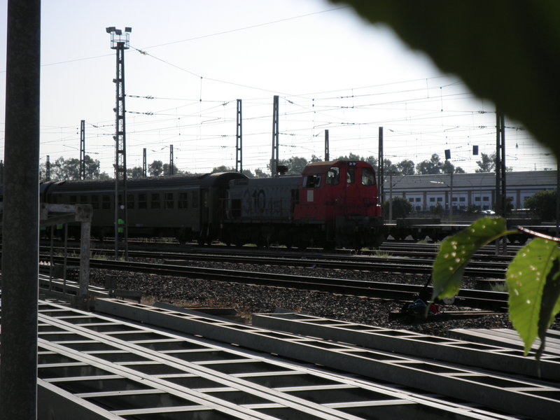 P9211161.JPG