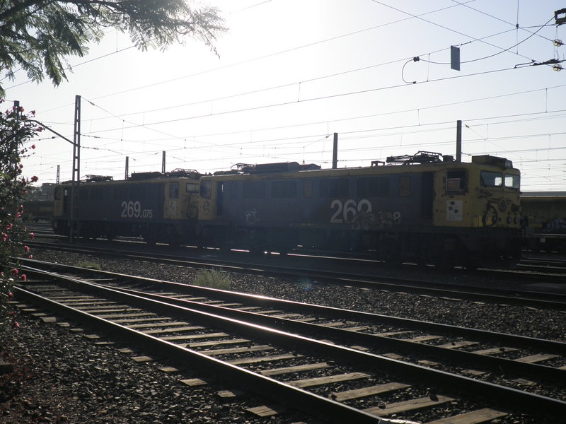 P9211139.JPG