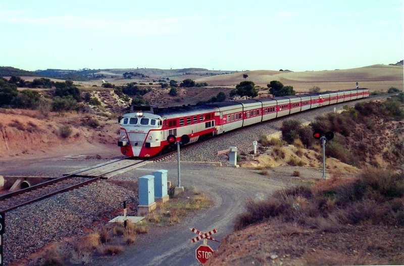 6644.jpg