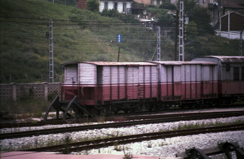 Composición de Servicio en Vía, con los coches CS 1.007-22 y CSvh 9.006-22 (Santander 23-5-1992).jpg