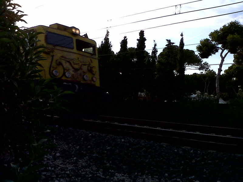 IMG00126-20110916-1903.jpg