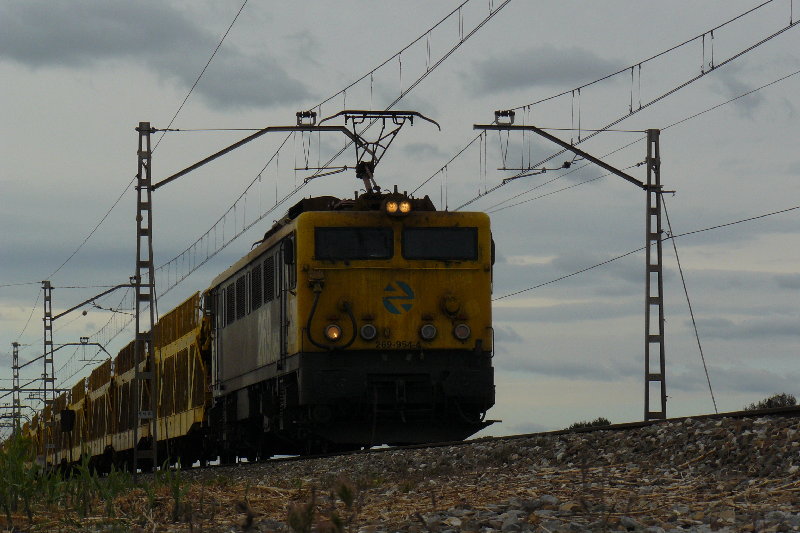 P1180385.JPG