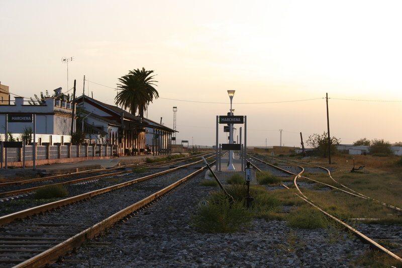 6650.JPG