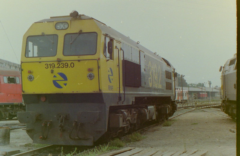 PICT0021.JPG