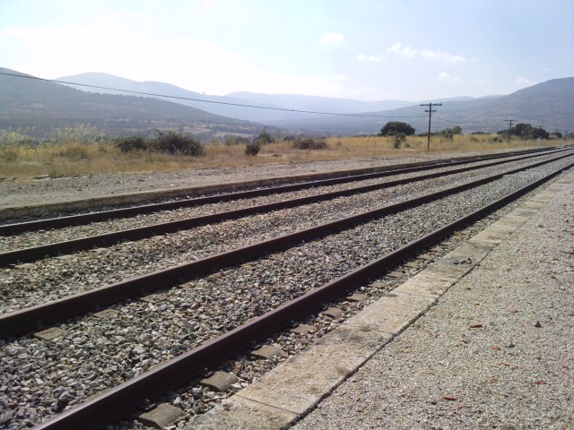 P011011_14.250003.JPG