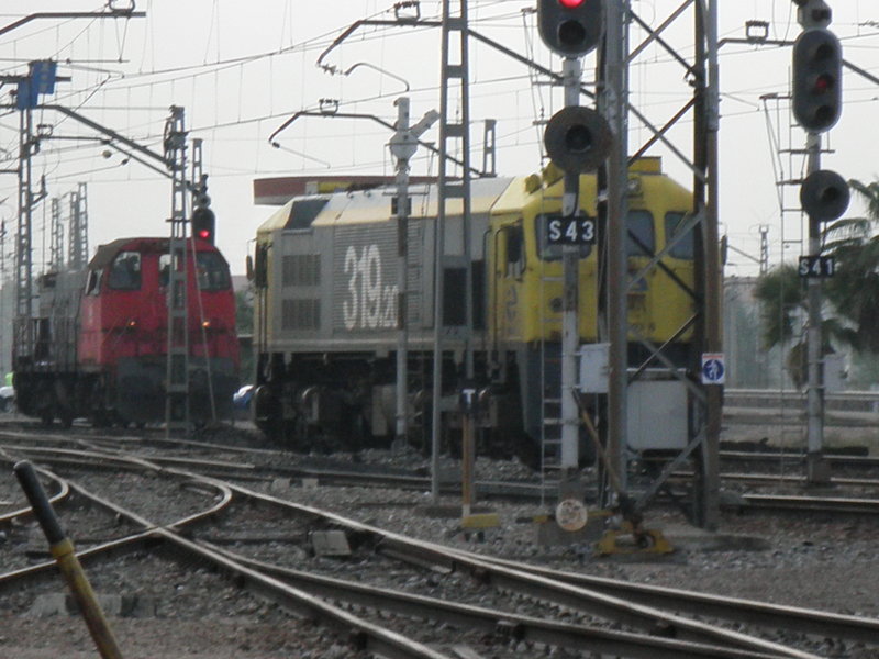 P4210048.JPG