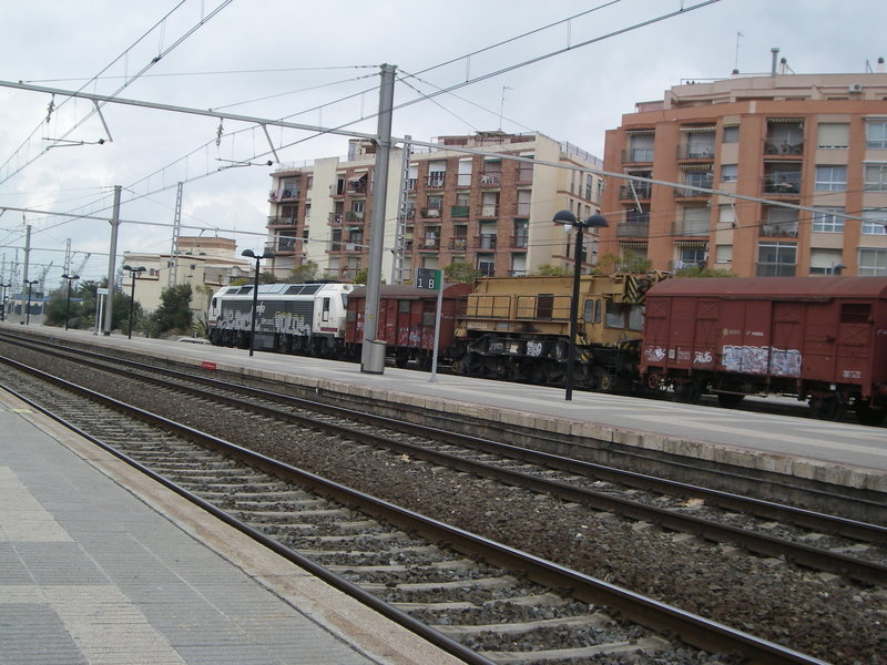 IMGP1308.JPG