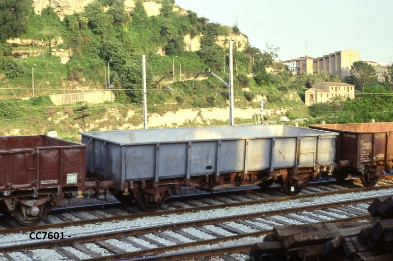 D25.jpg