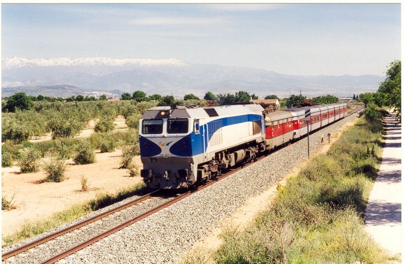 6689.jpg