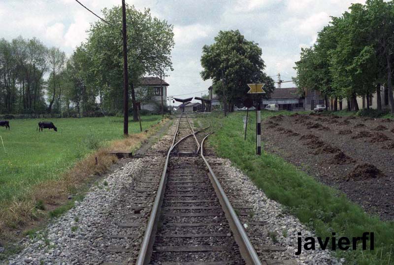 JFL-NCOL1-H4-02b.jpg