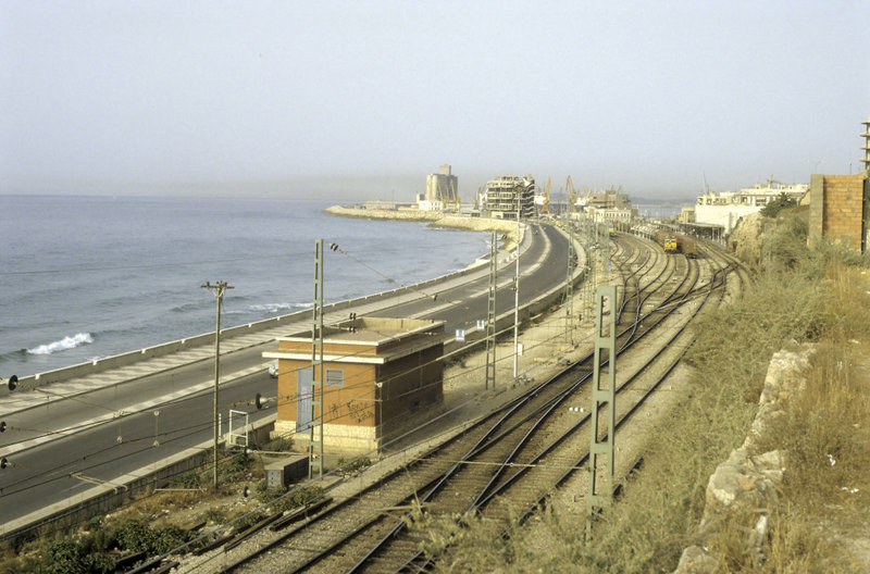 6736.jpg