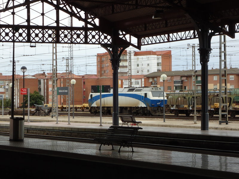 DSC01541.JPG